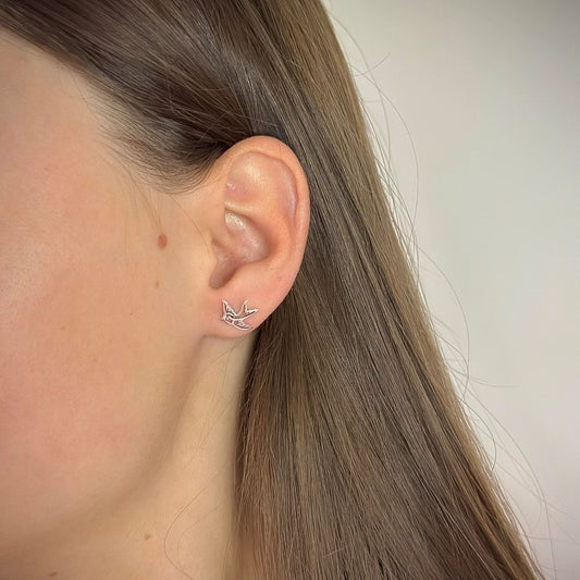 Sidabriniai paukšteliai