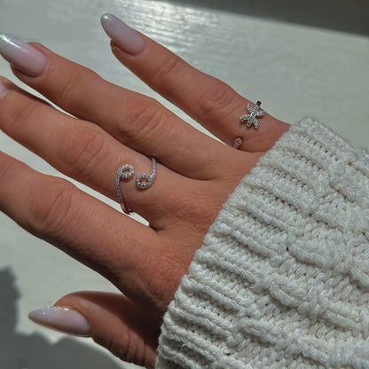 Zodiakas ¦ sidabriniai rodžiuoti reguliuojami žiedai su zodiako ženklais