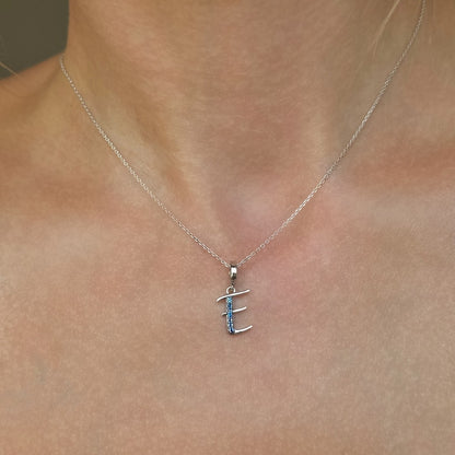 raidės ¦ sidabriniai pakabukai su cirkoniu