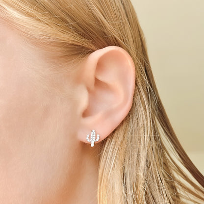 Sidabriniai rodžiuoti auskarai kaktusai su cirkoniais