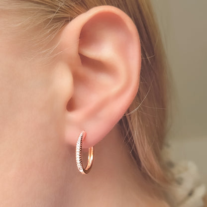 1,2 - 2,5 cm sidabrinės paauksuotos rinkutės su cirkoniais