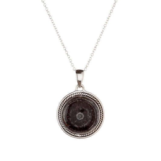 Sidabrinis pakabukas su orthoceru ir grandinėle