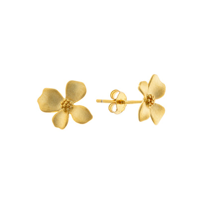 Sidabrinės auksuotos gėlytės matiniu paviršiumi