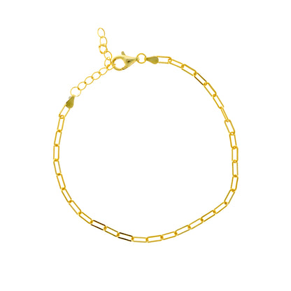 Sidabrinė auksuota apyrankė "Chain"