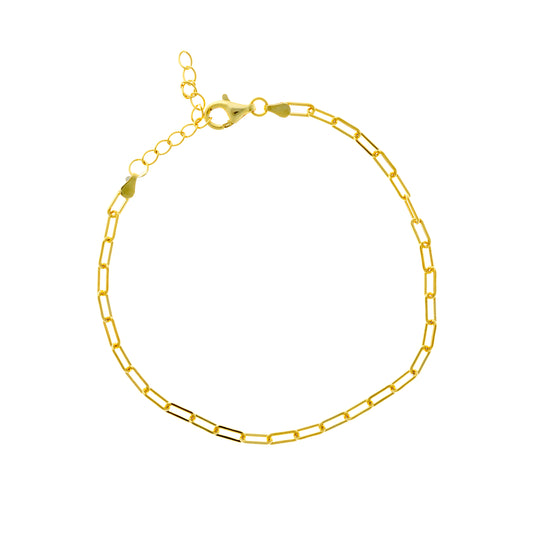 Sidabrinė auksuota apyrankė "Chain"