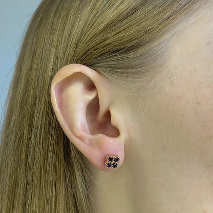 Sidabriniai paauksuoti vinukai "Dobilas"