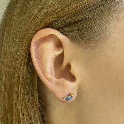 Sidabriniai paukšteliai