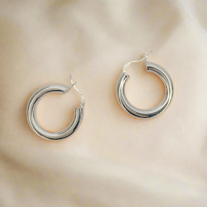 Masyvios sidabrinės rodžiuotos rinkutės