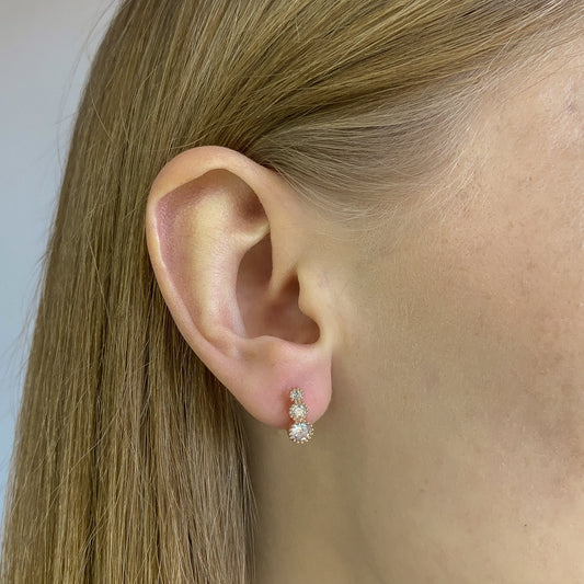 Sidabriniai paauksuoti auskarai su cirkoniais