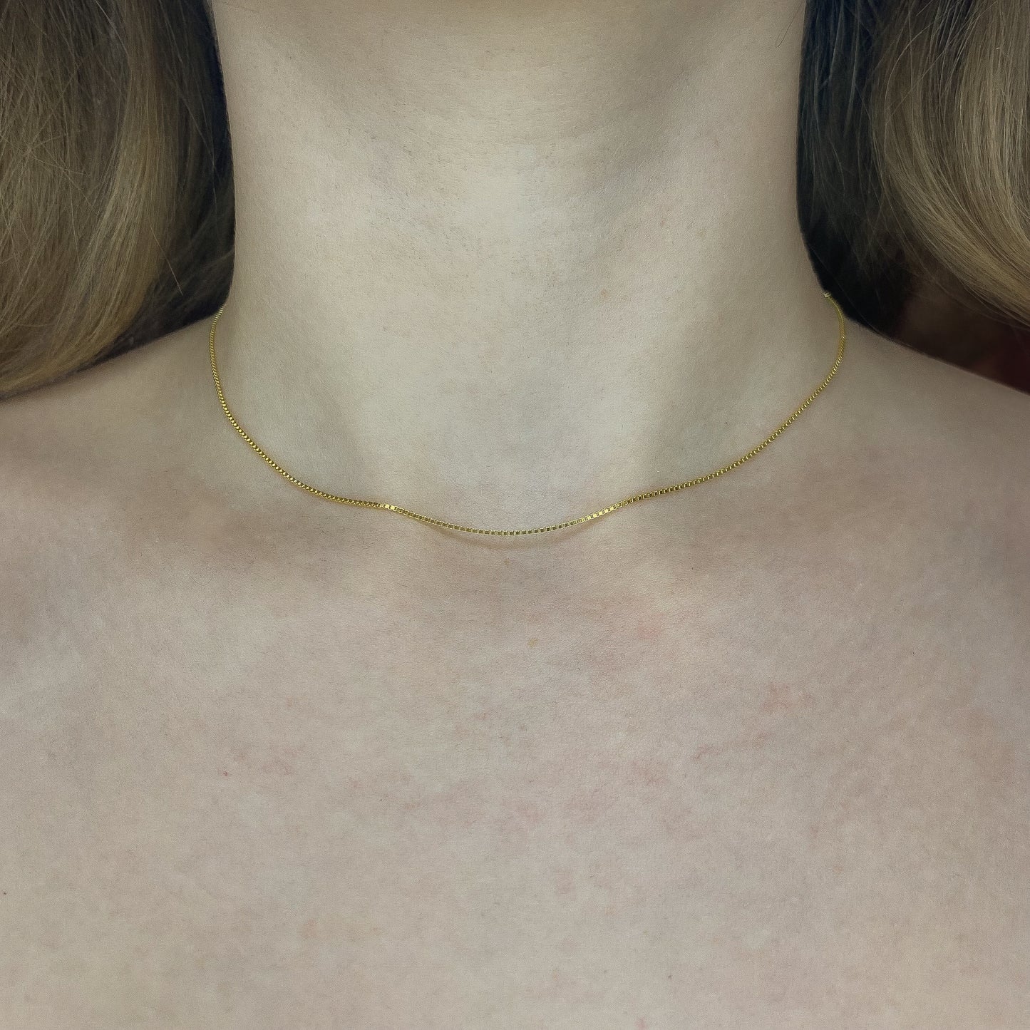 40-50 cm sidabrinė auksuota grandinėlė "BOX"