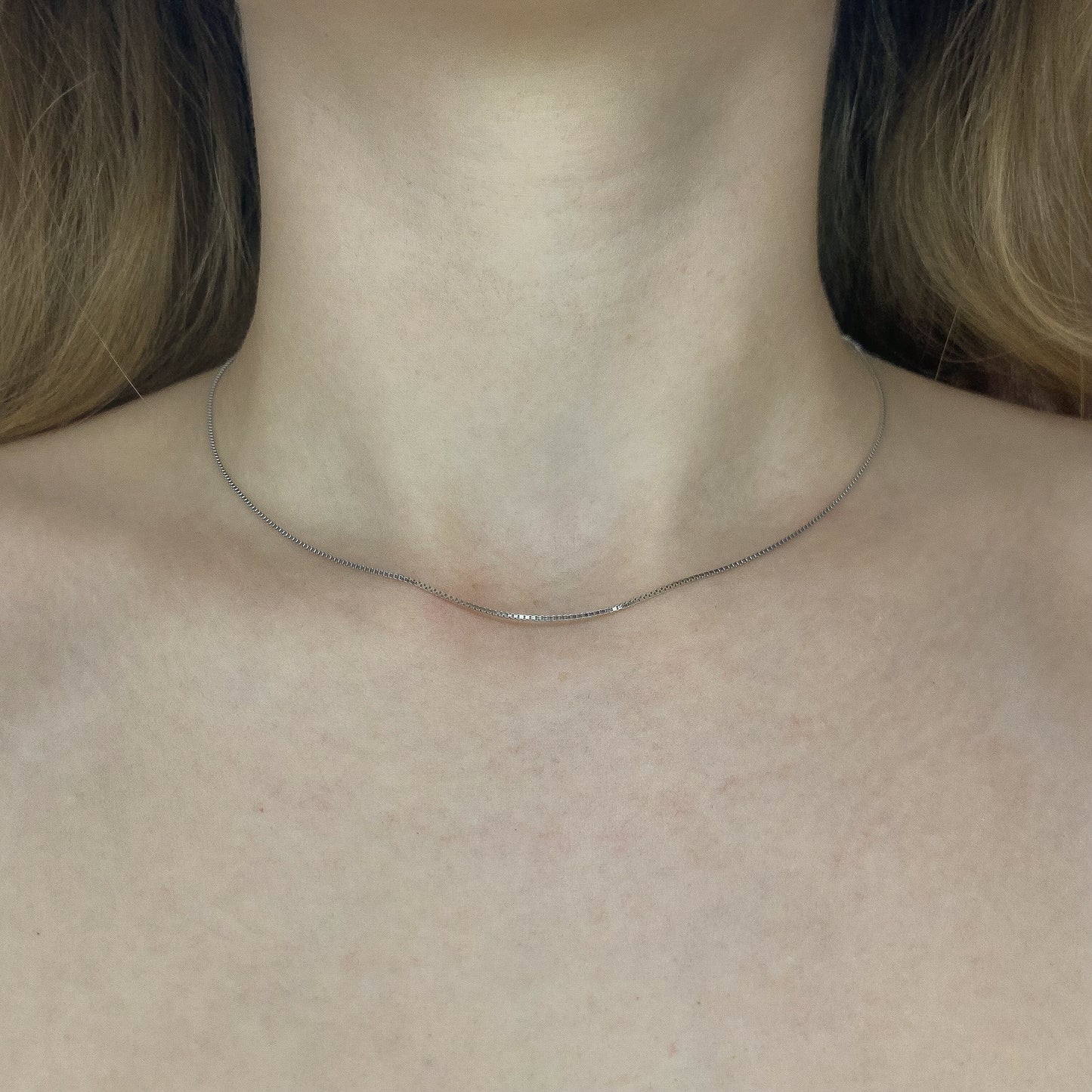 40-50 cm sidabrinė rodžiuota grandinėlė "BOX"