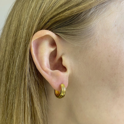 Sidabrinės auksuotos rinkutės