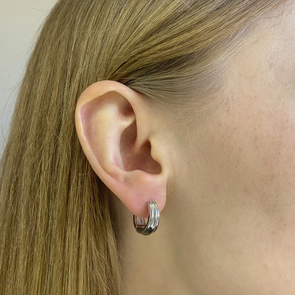 Sidabrinės rodžiuotos rinkutės