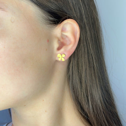 Sidabrinės auksuotos gėlytės matiniu paviršiumi