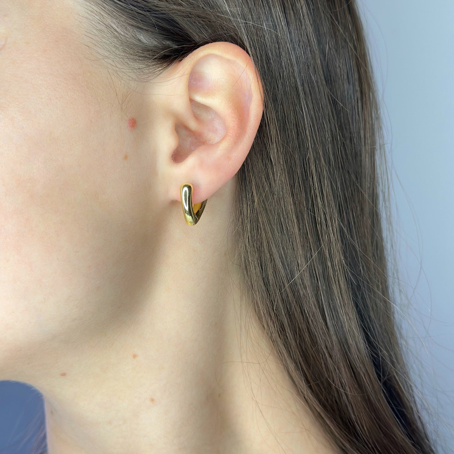 Sidabrinės V formos rinkutės