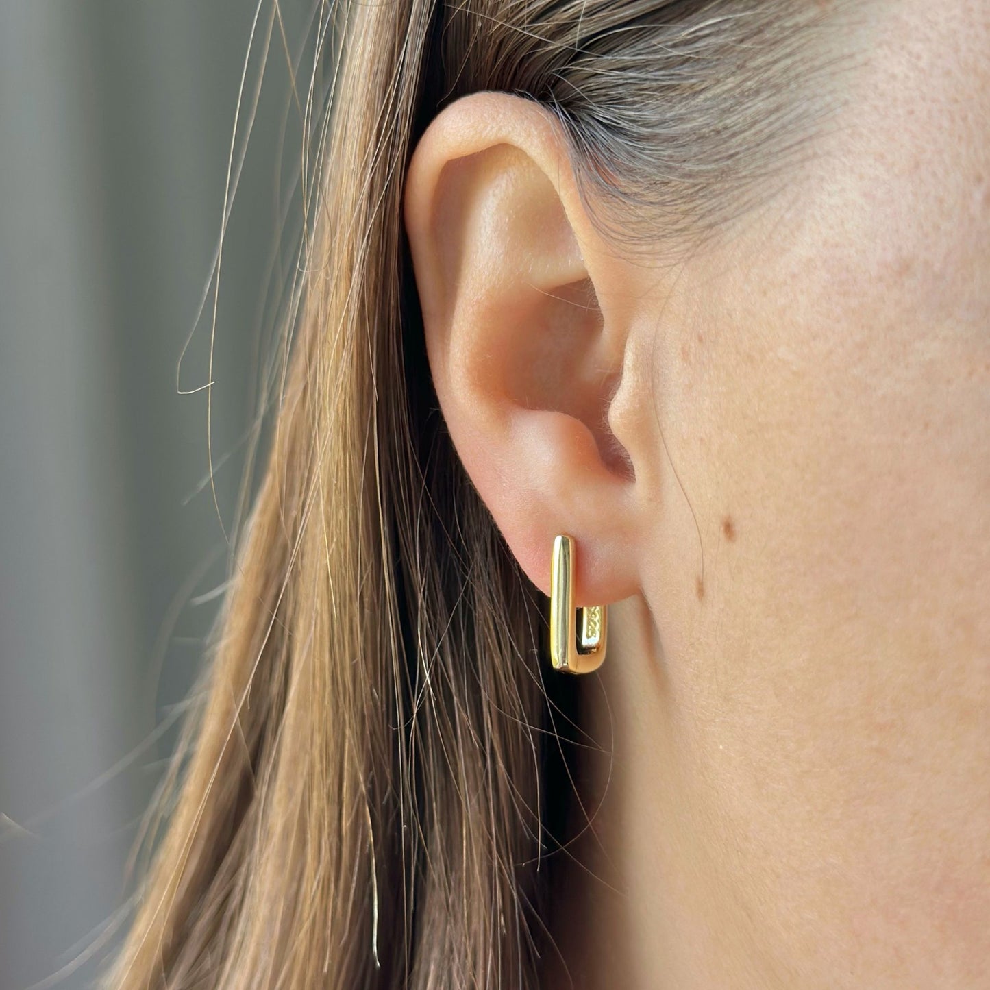 Sidabrinės stačiakampės rinkutės