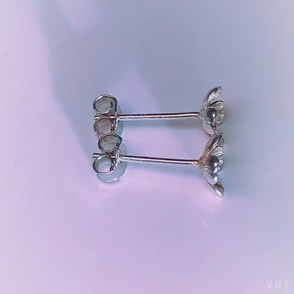 Sidabrinės rodžiuotos gėlytės